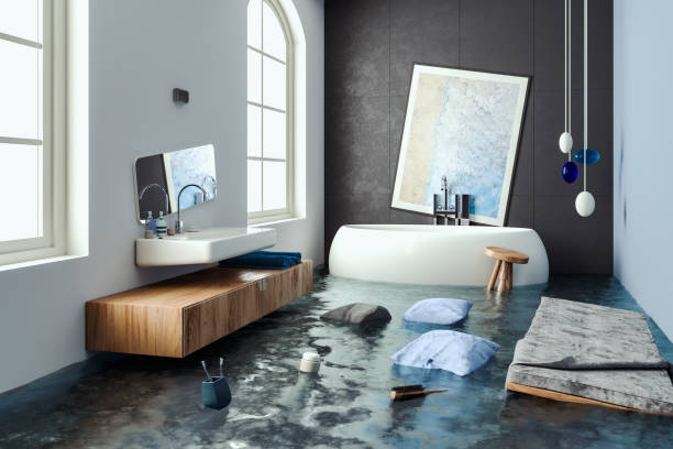 Best Mold removal after water damage  in Richmond, TX