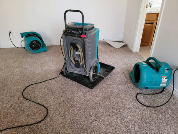 Best Professional water damage repair  in Richmond, TX