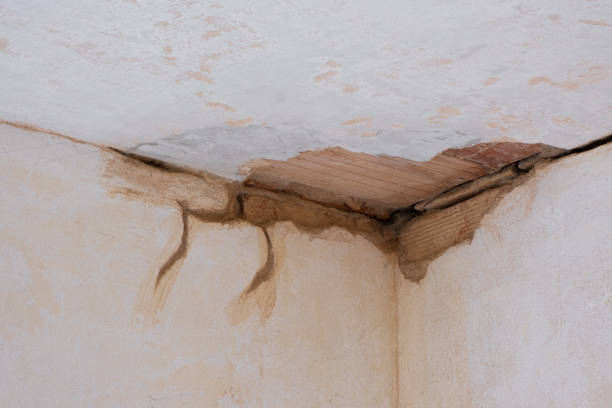 Best Sewage cleanup and water damage restoration  in Richmond, TX