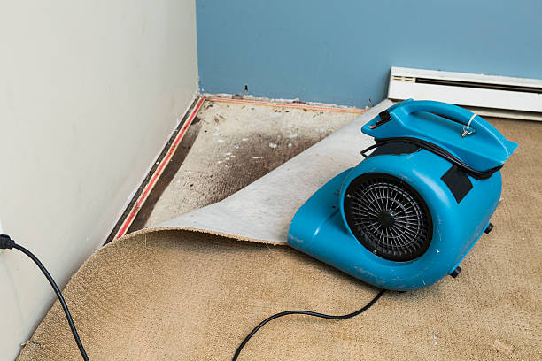 Best 24/7 water damage repair  in Richmond, TX